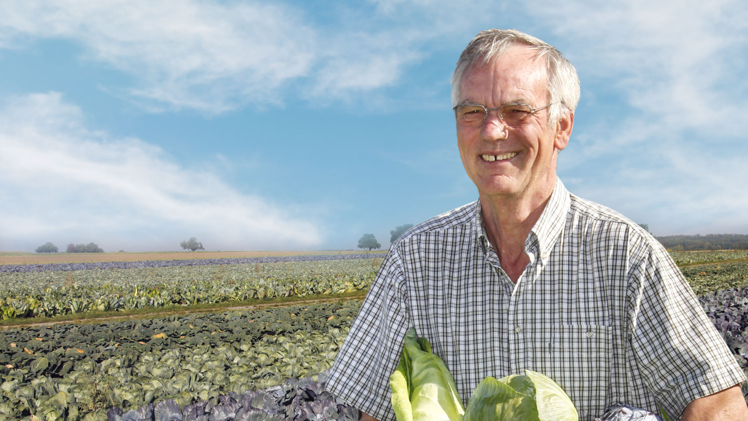 Lächelnder Mann in kariertem Hemd steht in einem sonnigen Kohlfeld und hält frisch geerntete Kohlköpfe aus Eigenproduktion. Im Hintergrund erstrecken sich Reihen von Kohlpflanzen.
