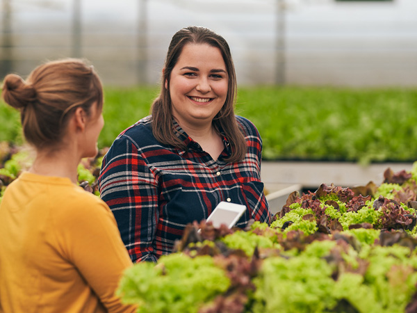 Zwei Frauen von Gemüsering, eine mit kariertem Hemd und eine mit gelbem Pullover, im Gespräch zwischen Salatpflanzen in einem Gewächshaus